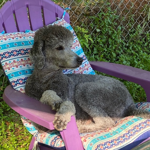 Meet your Posher, Rebecca - Picture 1 of 1